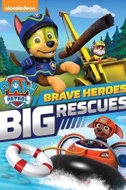 Paw Patrol: Brave Heroes, Big Rescues (2016)